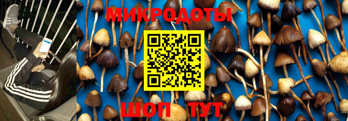 Псилоцибиновые грибы ЛСД Сосновоборск