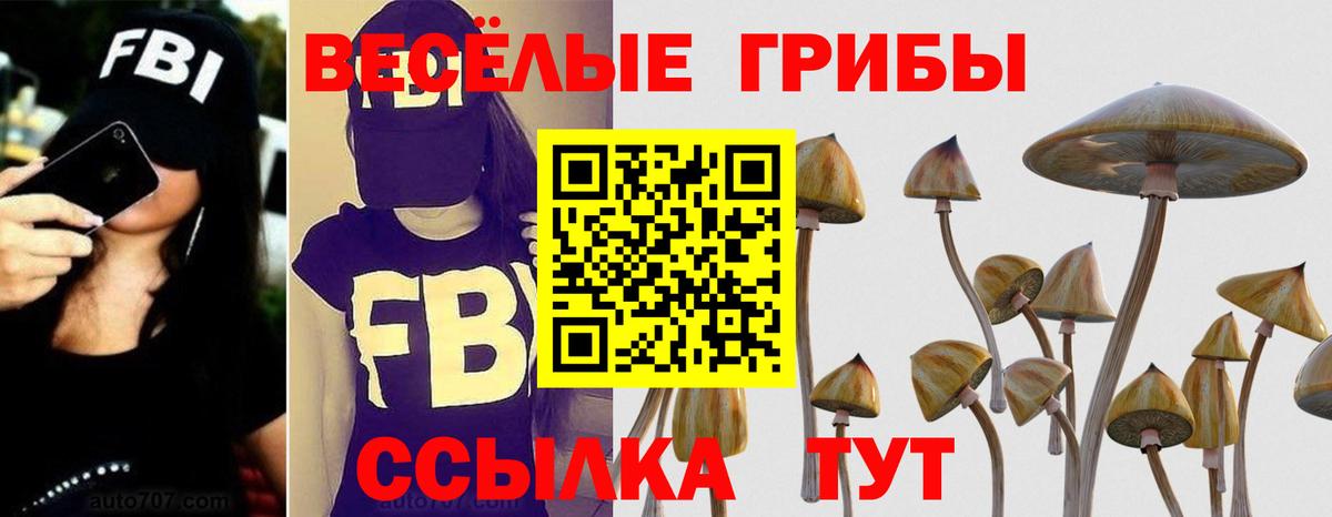 Сосновоборск  Галлюциногенные грибы Magic Shrooms  Вход с VPN 